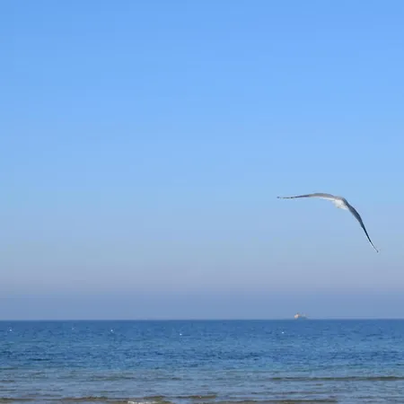 Casa vacanze Gorgeous In With Wifi *