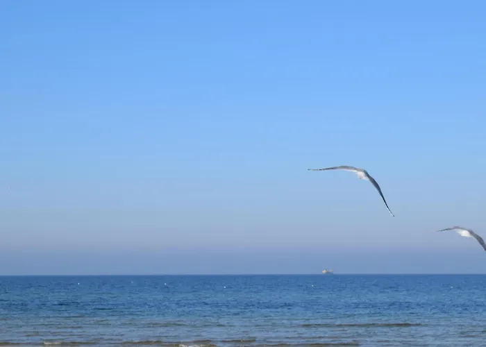 Semesterbostad Gorgeous In With Wifi *